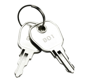 HAES Spare 801 Key for Panel Door Lock (Set of 2) (KEY801)